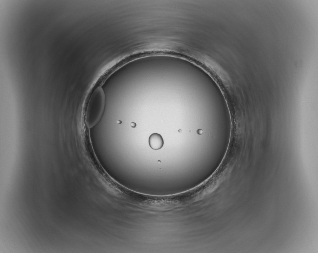 X0000116291077200912071206