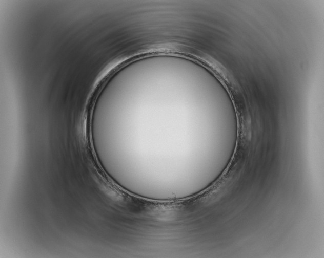 X0000116291078200912071206