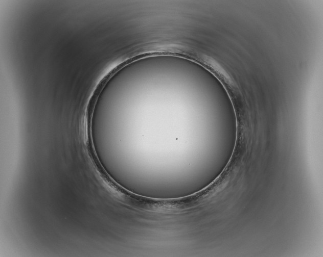 X0000116291079200912071206