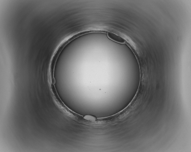 X0000116291080200912071206