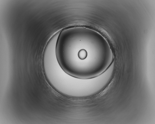 X0000116291081200912071206