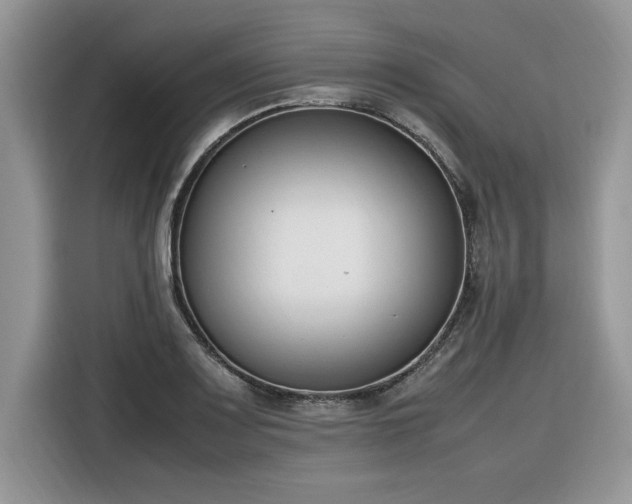 X0000116291083200912071206