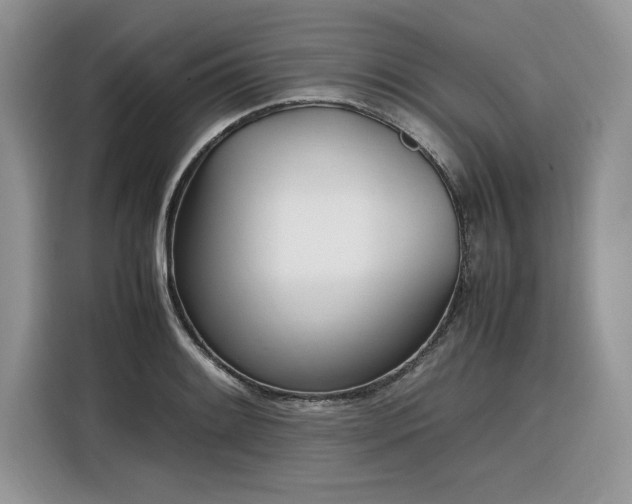 X0000116291084200912071206