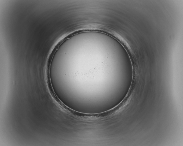 X0000116291085200912071206