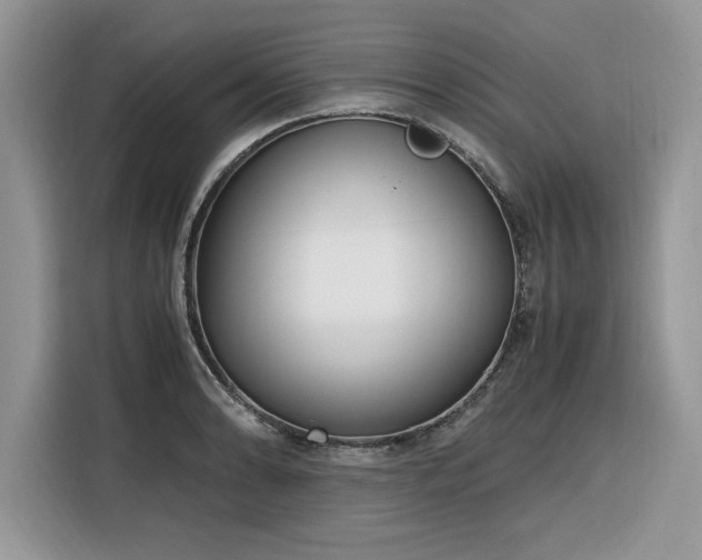 X0000116291086200912071206