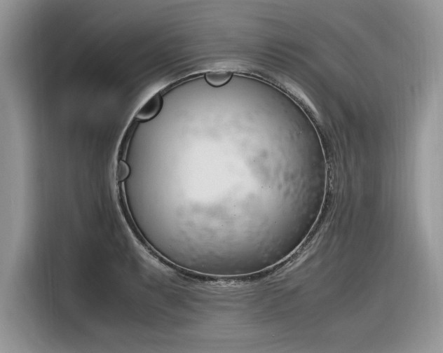 X0000116291087200912071206