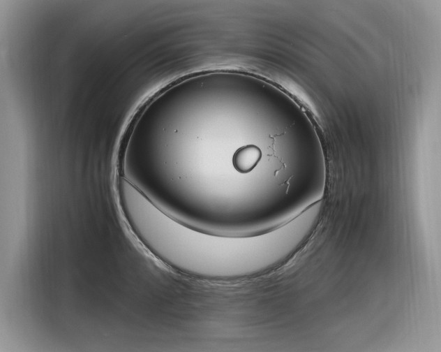 X0000116291088200912071206