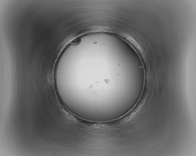 X0000116291089200912071206