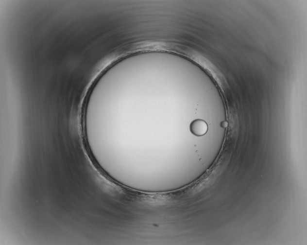 X0000116291090200912071206