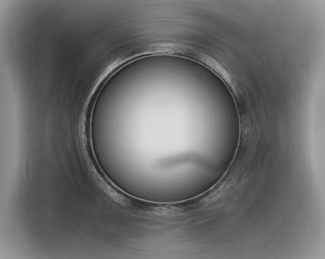 X0000116291091200912071206