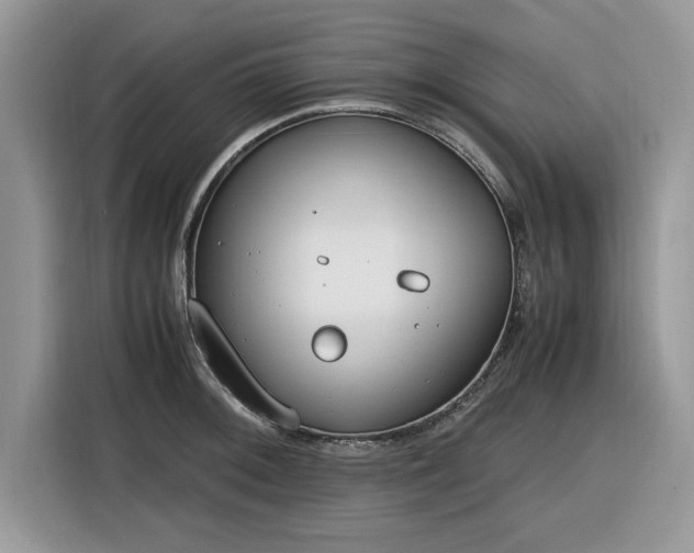 X0000116291092200912071206