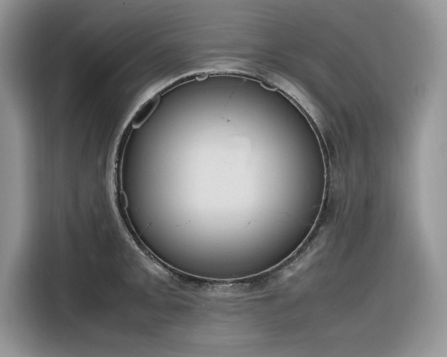 X0000116291093200912071206