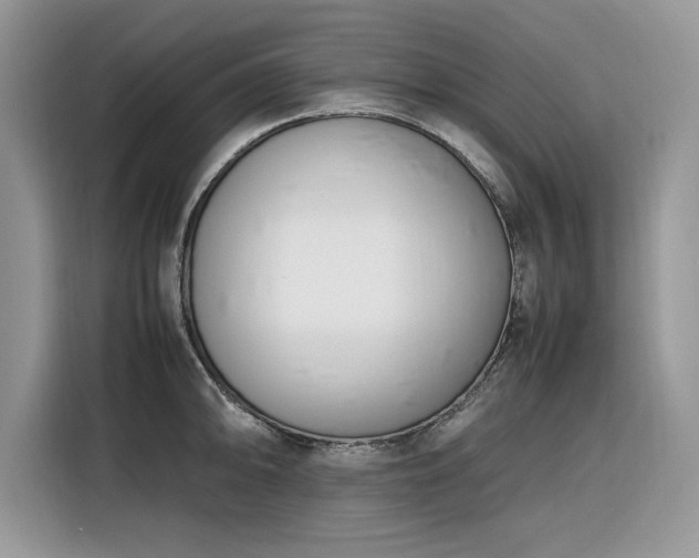 X0000116291094200912071206