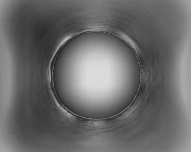 X0000116291095200912071206