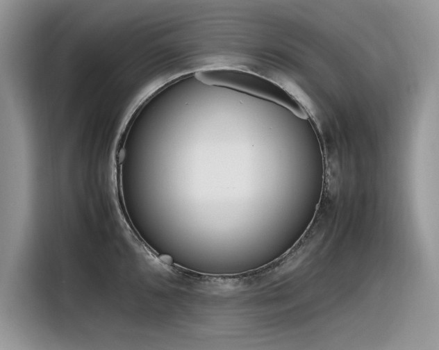 X0000116291096200912071206