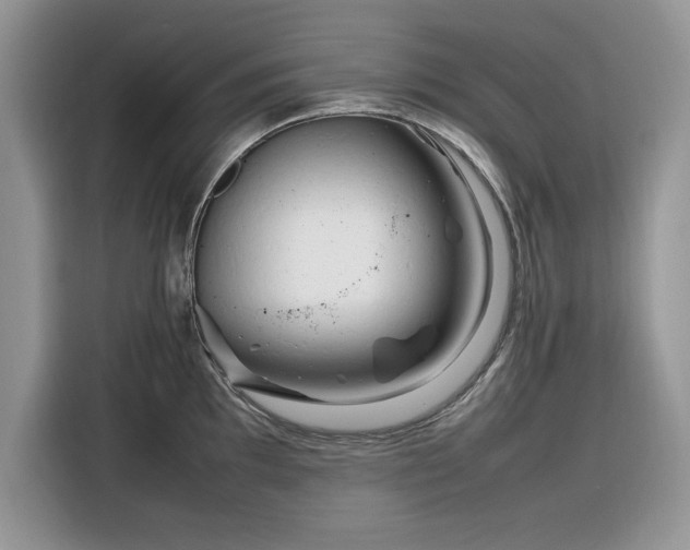 X0000116291097200912071206