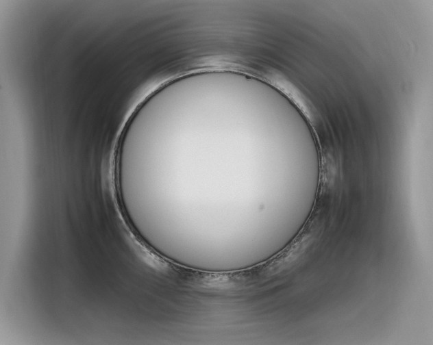 X0000116291098200912071206