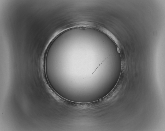 X0000116291099200912071206