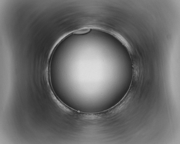 X0000116291100200912071206