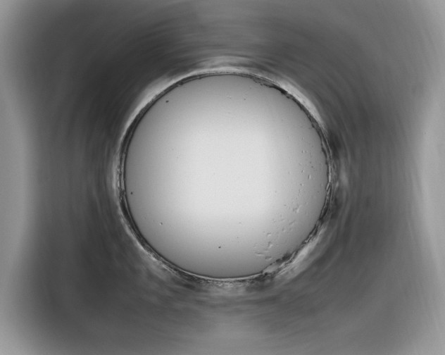 X0000116291101200912071206