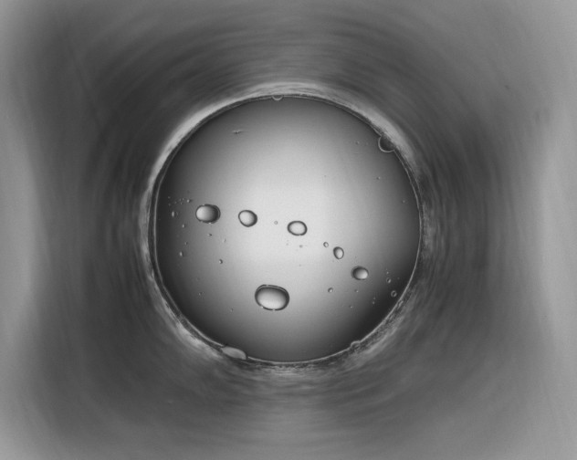 X0000116291102200912071206