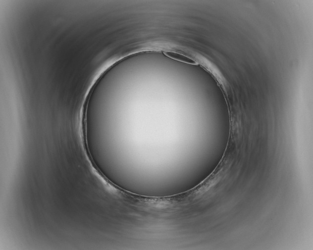 X0000116291103200912071206