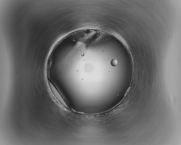 X0000116291104200912071206