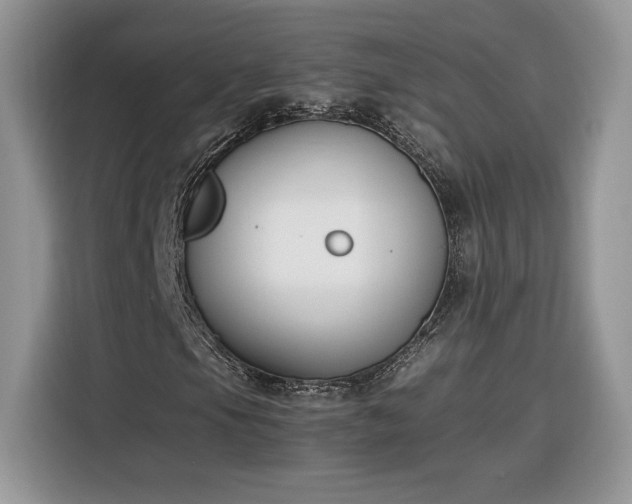 X0000116291105200912071205