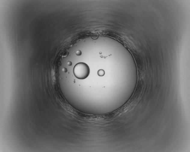 X0000116291106200912071205