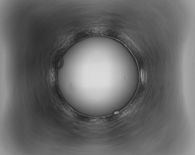 X0000116291107200912071205