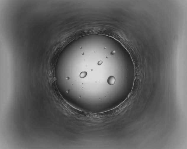 X0000116291109200912071205