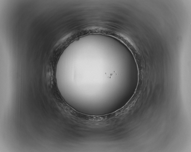 X0000116291111200912071205