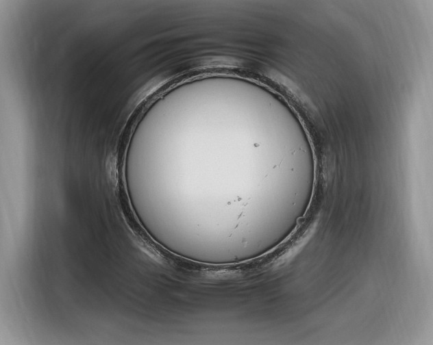 X0000116291113200912071205