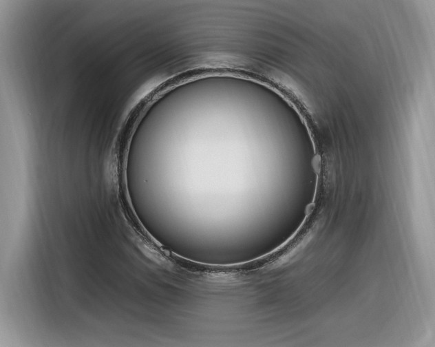 X0000116291114200912071205