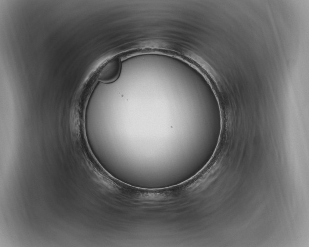 X0000116291115200912071205