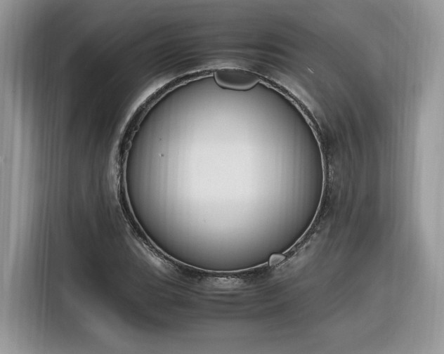 X0000116291119200912071205