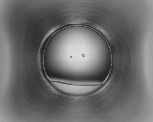 X0000116291122200912071205