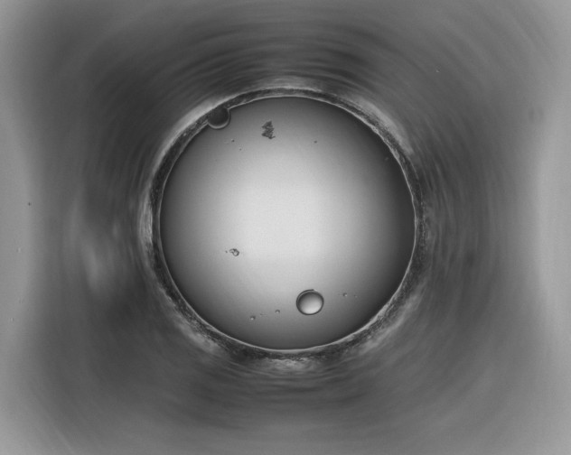 X0000116291125200912071205