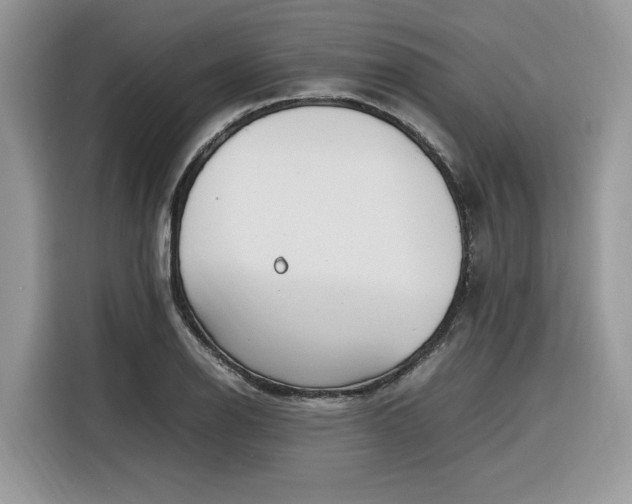 X0000116291126200912071205