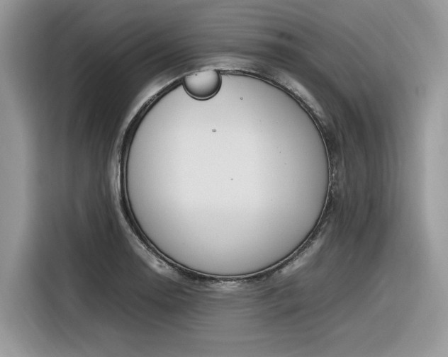 X0000116291130200912071205