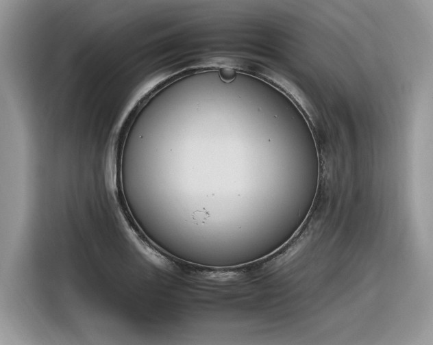 X0000116291131200912071205