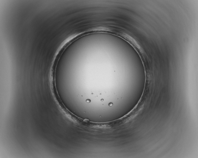 X0000116291133200912071205