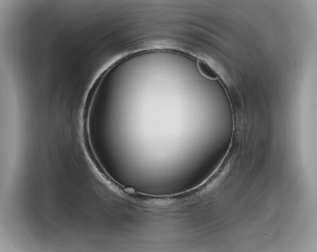 X0000116291134200912071205