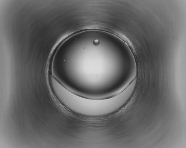 X0000116291138200912071205