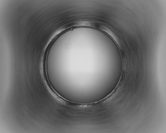 X0000116291139200912071205