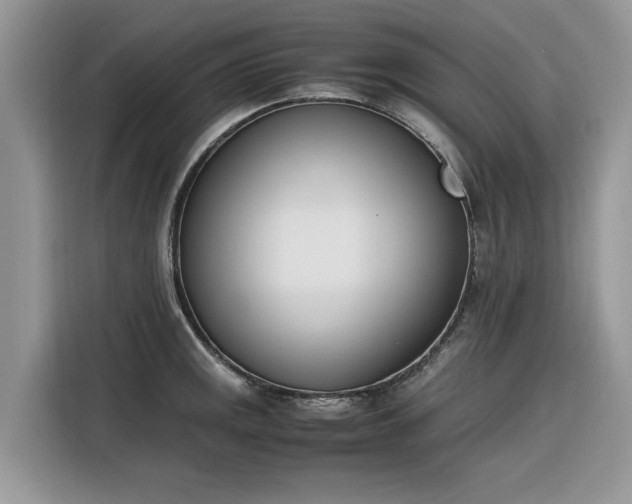 X0000116291141200912071205