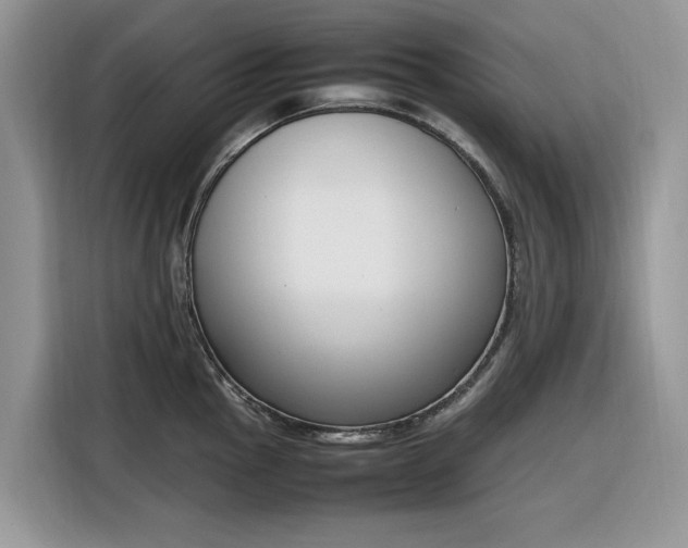 X0000116291145200912071206