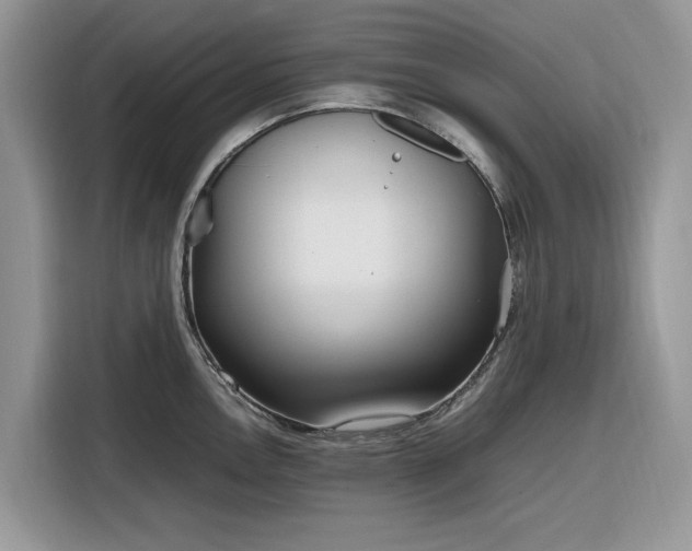 X0000116291146200912071206