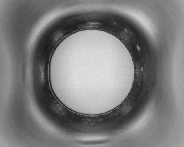 X0000116291150200912071206