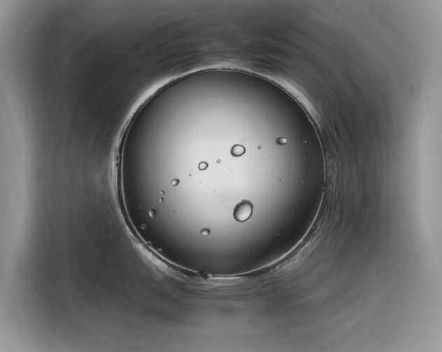 X0000116291151200912071206